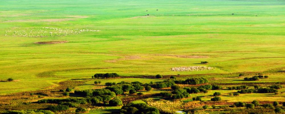 最快最安全的三类丰胸方法