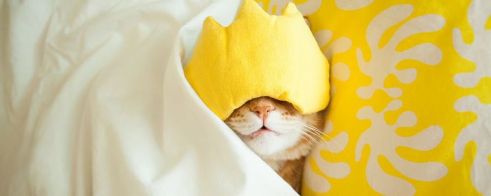 能快速丰胸的3个按摩手法