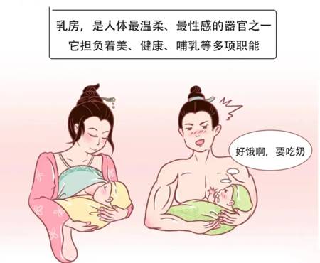 1张图秒懂乳腺的生理变化