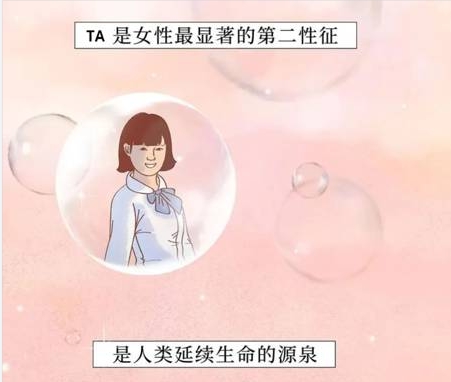 get乳房小知识之基础版