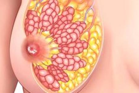 乳房小知识之女性乳房护理！