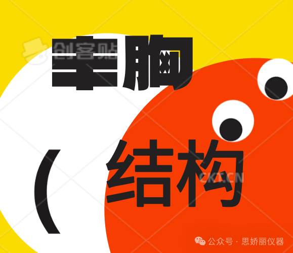 想丰胸，不了解胸部怎么行？