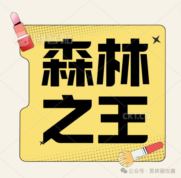 “森林奶油”是水果届丰胸之王？来听听如何说！