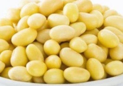 经期吃这些食物让你丰胸不增肥